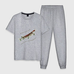 Пижама хлопковая мужская Рыбалов со стажем, цвет: меланж