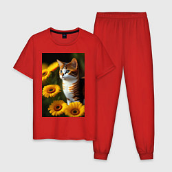 Пижама хлопковая мужская Red cat in flowers, цвет: красный