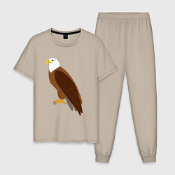 Пижама хлопковая мужская Красивый орёл, цвет: миндальный
