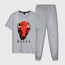 Пижама хлопковая мужская Chicago bull, цвет: меланж