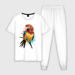Пижама хлопковая мужская Акварельный попугай, цвет: белый