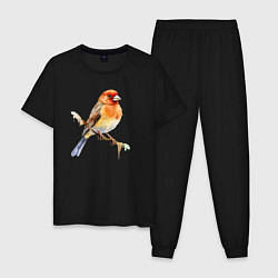 Пижама хлопковая мужская Оранжевая птица на ветке, цвет: черный