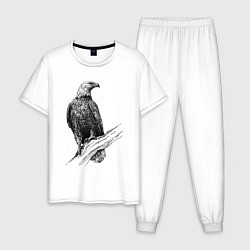Пижама хлопковая мужская Орёл на ветке, цвет: белый