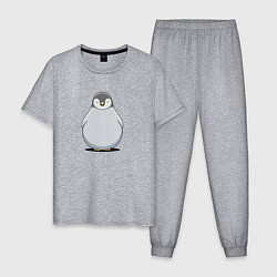 Пижама хлопковая мужская Птенец пингвина мультяшный, цвет: меланж