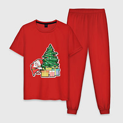 Пижама хлопковая мужская Котик Дед Мороз, цвет: красный