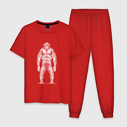Пижама хлопковая мужская Шимпанзе в полный рост, цвет: красный
