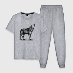 Пижама хлопковая мужская Волк ночной, цвет: меланж