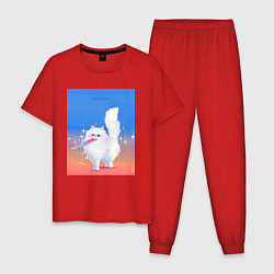 Мужская пижама Кошечка с ножом на пределе