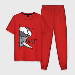 Пижама хлопковая мужская Серый филин с ножом, цвет: красный