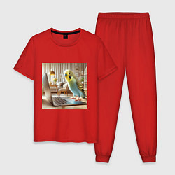 Пижама хлопковая мужская Волнистый попугай с ноутбуком, цвет: красный