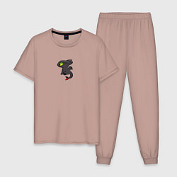 Пижама хлопковая мужская Ночная фурия пара для дневной, цвет: пыльно-розовый