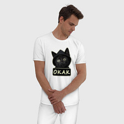 Пижама хлопковая мужская Кот в капюшоне, окак, мем, цвет: белый — фото 2