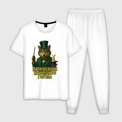 Мужская пижама Волшебник Изумрудного города