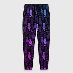 Мужские брюки Коты