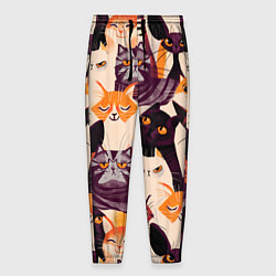 Мужские брюки КОТИКИ