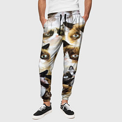 Брюки на резинке мужские КОТ МЕМ, цвет: 3D-принт — фото 2