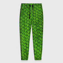 Мужские брюки Зелёная чешуя
