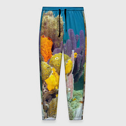 Мужские брюки Морской мир