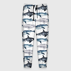 Мужские брюки Принт с китами