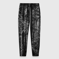 Мужские брюки Темный жуткий лес