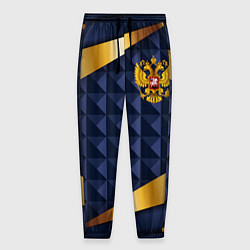 Мужские брюки Золотой герб России на объемном синим фоне
