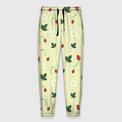 Брюки на резинке мужские Узор из веточек и листиков земляники, цвет: 3D-принт