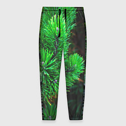 Мужские брюки Зелёный лес России