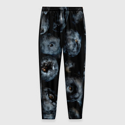 Брюки на резинке мужские Много черники, цвет: 3D-принт