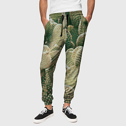 Брюки на резинке мужские Поле кактусов, цвет: 3D-принт — фото 2