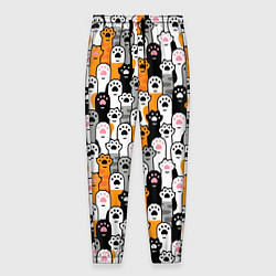 Мужские брюки Кошачьи лапы