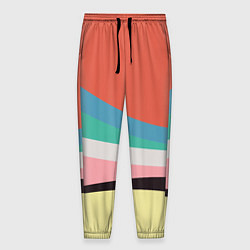 Мужские брюки Спектр июнь