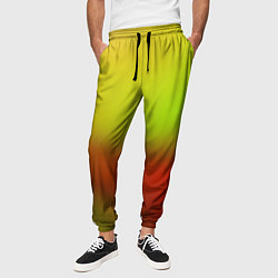 Брюки на резинке мужские Color multicolored gradient, цвет: 3D-принт — фото 2