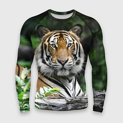 Рашгард мужской Тигр в джунглях, цвет: 3D-принт