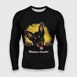 Мужской рашгард Пинчер Miniature Pinscher