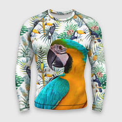 Рашгард мужской Летний попугай, цвет: 3D-принт
