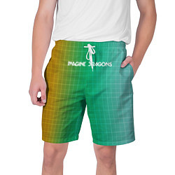 Шорты на шнурке мужские Imagine Dragons: Evolve Grid, цвет: 3D-принт