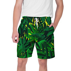 Шорты на шнурке мужские В джунглях, цвет: 3D-принт