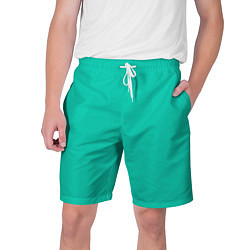 Мужские шорты Бискайский зеленый без рисунка