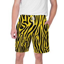 Мужские шорты Тигровые полоски
