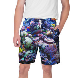 Мужские шорты Коралловые рыбки