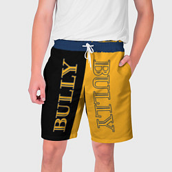 Шорты на шнурке мужские Bully Вертикальное лого, цвет: 3D-принт