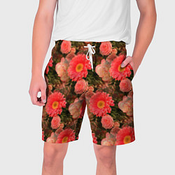 Шорты на шнурке мужские Полевые цветочки дачные цветы, цвет: 3D-принт