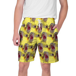 Шорты на шнурке мужские Попугай Корелла Орёт Мем, цвет: 3D-принт