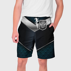 Мужские шорты Silver Russia