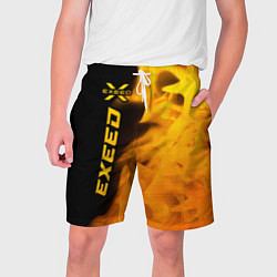 Мужские шорты Exeed - gold gradient: по-вертикали