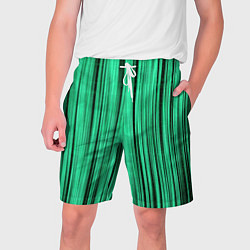 Мужские шорты Абстракция полосы зелёные