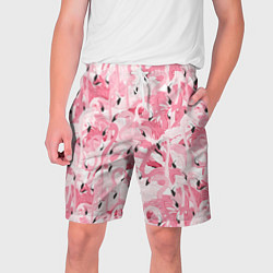 Мужские шорты Стая розовых фламинго