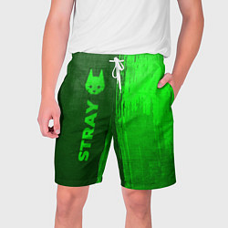 Мужские шорты Stray - green gradient по-вертикали