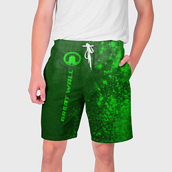 Шорты на шнурке мужские Great Wall - green gradient по-вертикали, цвет: 3D-принт