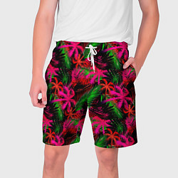 Мужские шорты Palm red pink